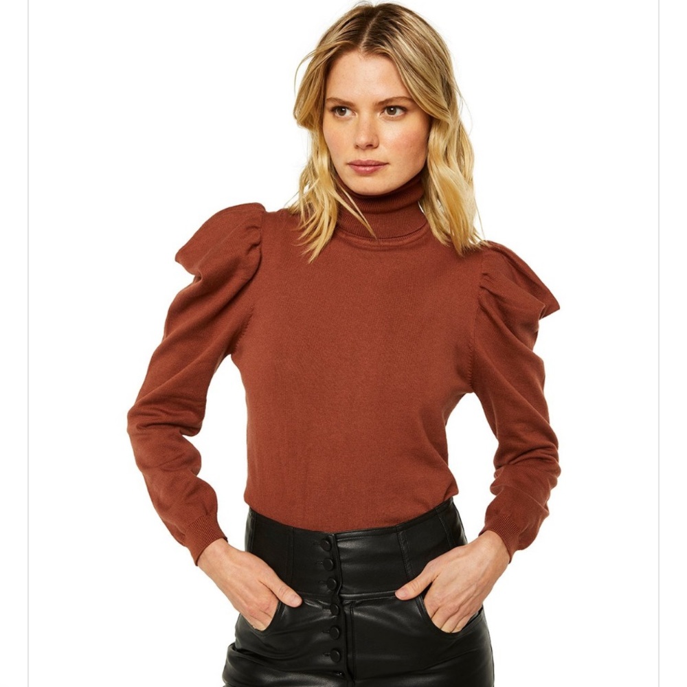 NWT EXPRESS Mock Turtleneck with Puffed Sleeves